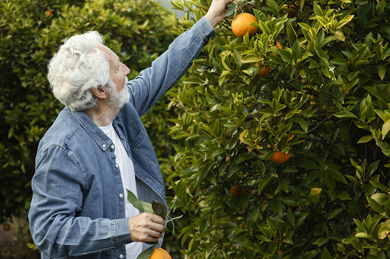 Guide to oral health, vision health, hearing health, prostate health, and weight loss